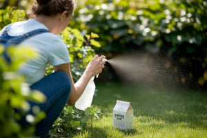 Anti-Puceron Naturel : Comment Traiter les Pucerons avec du Bicarbonate de Soude