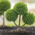 Catalpa Boule : Profondeur des Racines et Croissance du Bungei