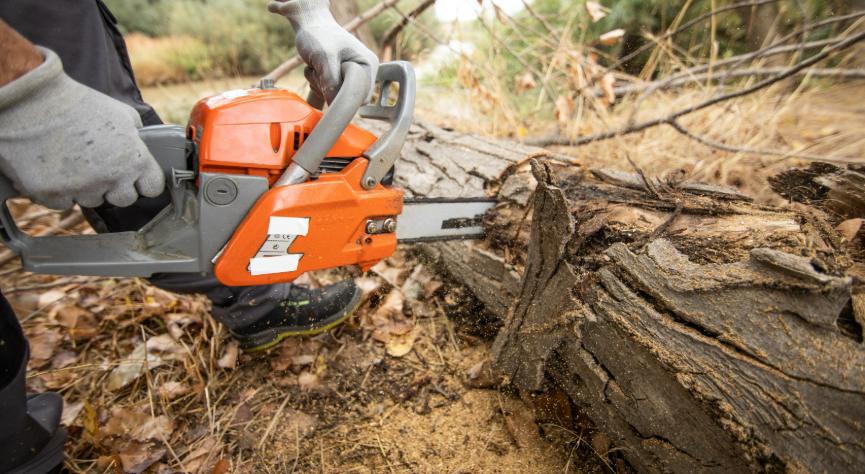 Tronçonneuse thermique 45cm