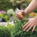 gros-plan-mains-application-buis