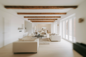 salon-minimaliste-poutres-bois-fenetres
