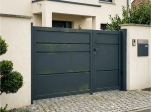 Quelles solutions pour nettoyer la mousse et le lichen sur un portail ?